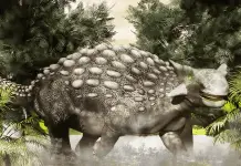 Ankylosaurus by Steven Thompson