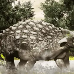 Ankylosaurus by Steven Thompson