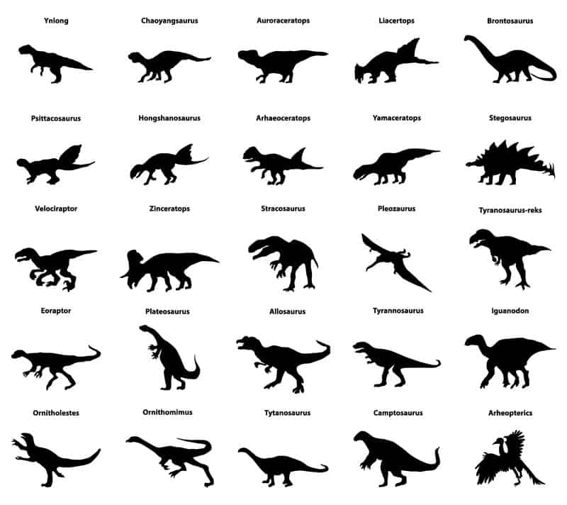 Dinosaur Names dinosaur names