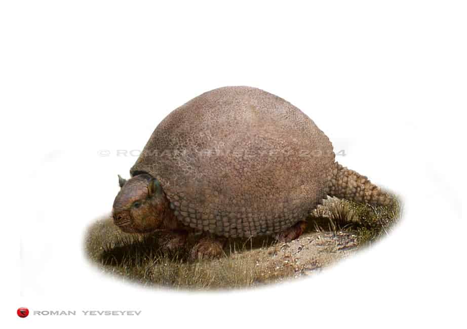 glyptodon facts and pictures glyptodon size