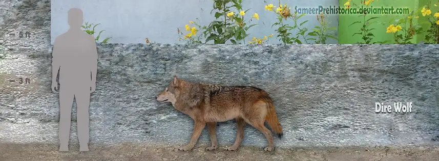 Dire Wolf by SameerPrehistorica