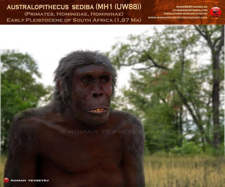 Australopithecus by Roman Yevseyev