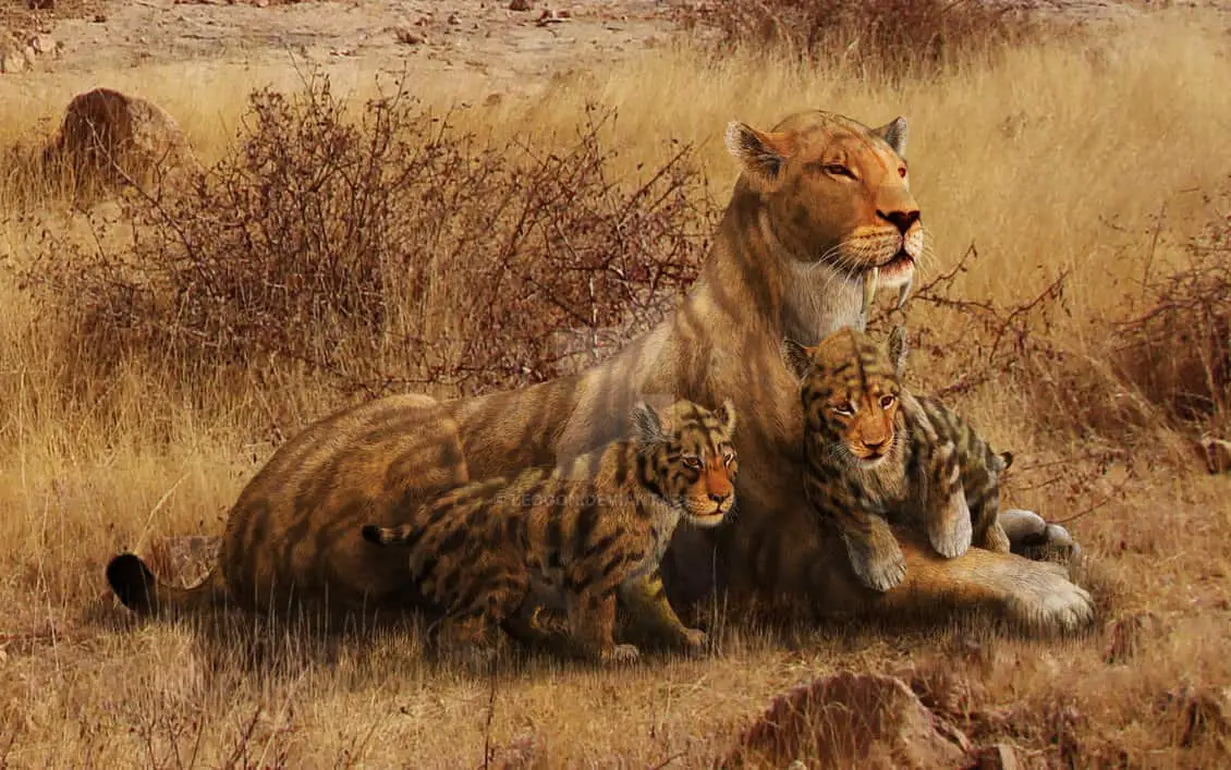 Smilodons