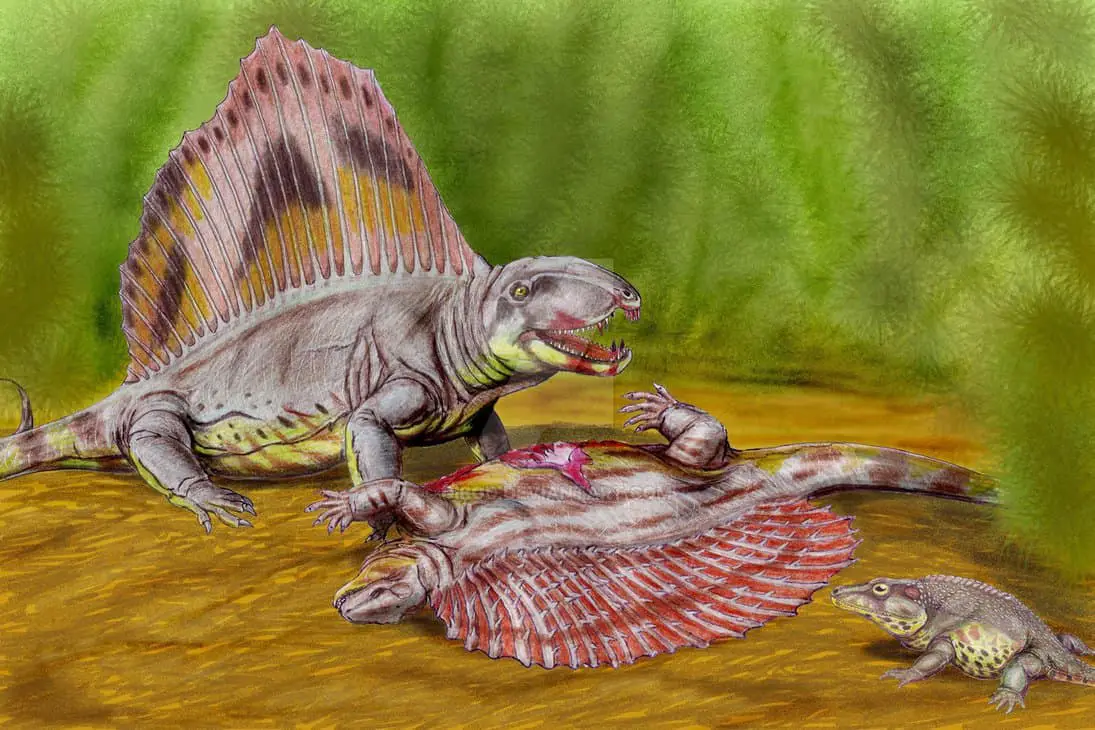 Edaphosaurus by Dmitry Bogdanov