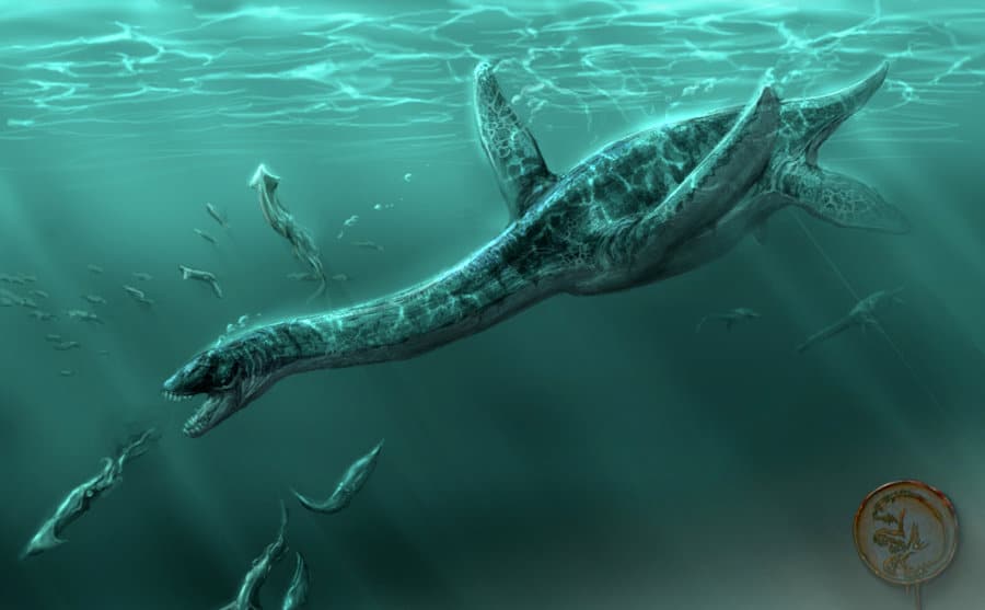 Plesiosaurus by Rodrigo Vega