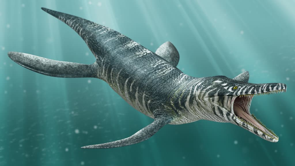 Top 10 Terrifying Prehistoric Sea Monsters 