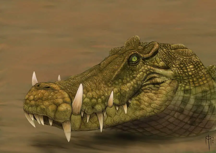 kaprosuchus facts and pictures kaprosuchus size