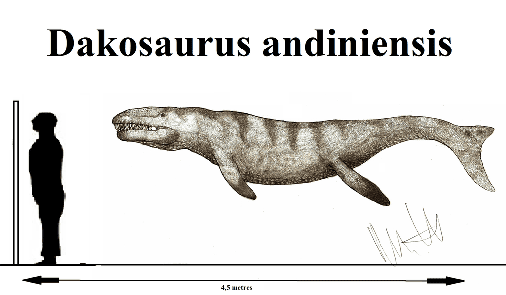 Dakosaurus Dinosaurs Pictures and Facts