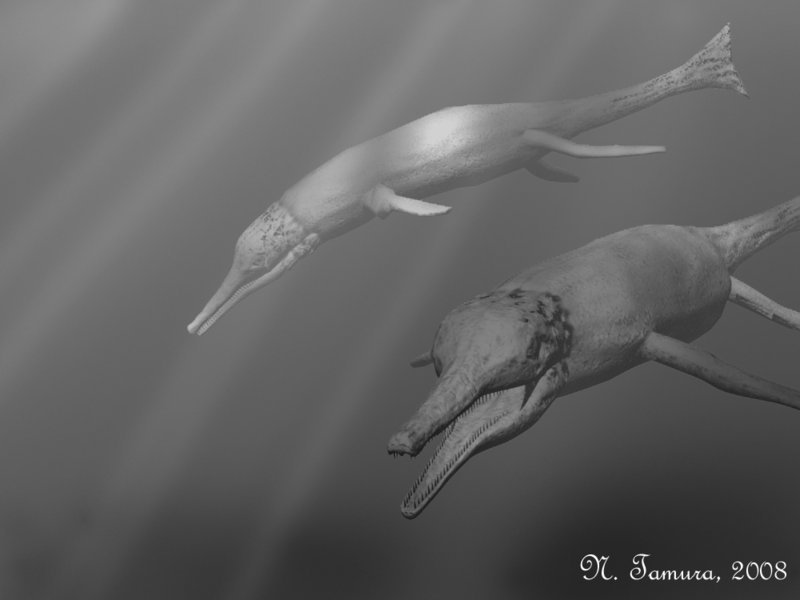 Metriorhynchus • Dinosaurs - Pictures and Facts