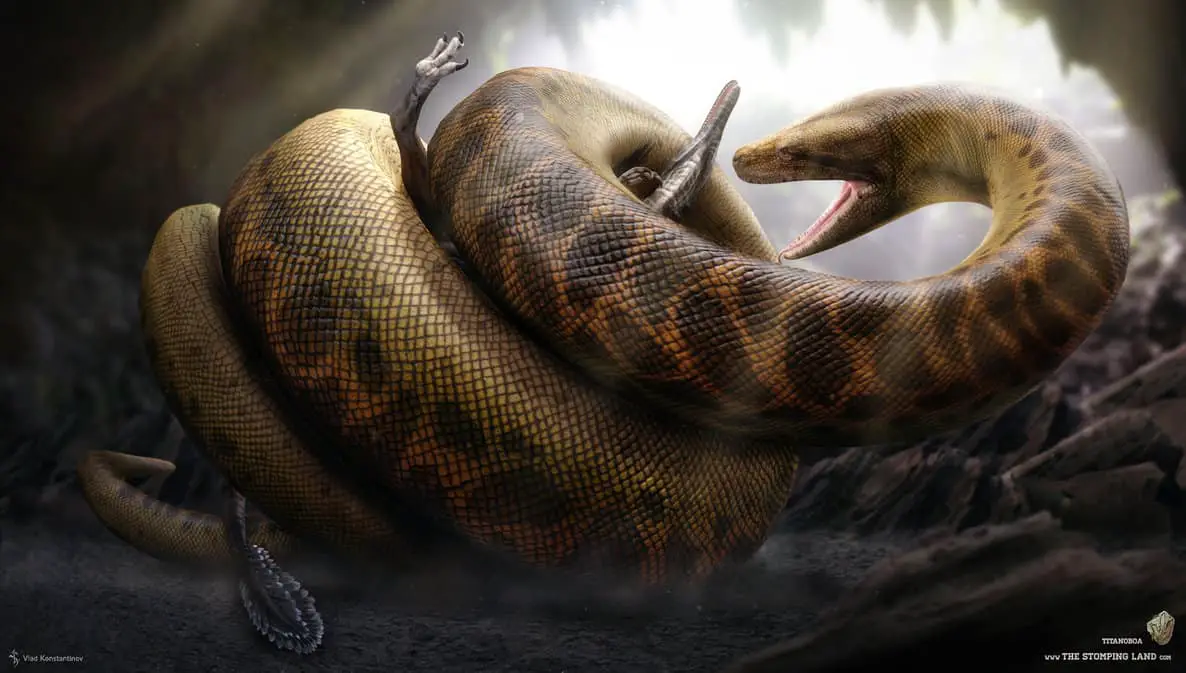 Titanoboa Facts And Pictures - 1186x673 - jpeg Titanoboa Sightings
