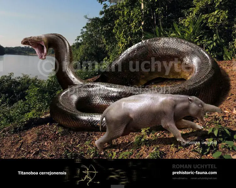 titanoboa facts and pictures