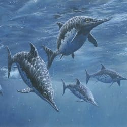 1484_ichthyosaurus_esther_van_hulsen
