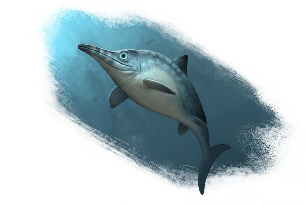 Ophthalmosaurus by Raul A Ramos