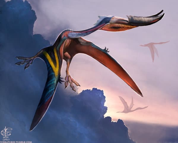 Pterodaustro by Vincent
