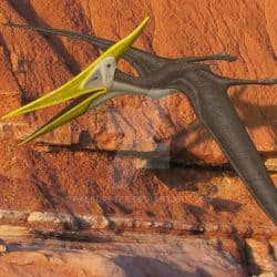 1612_pteranodon_peter_montgomery