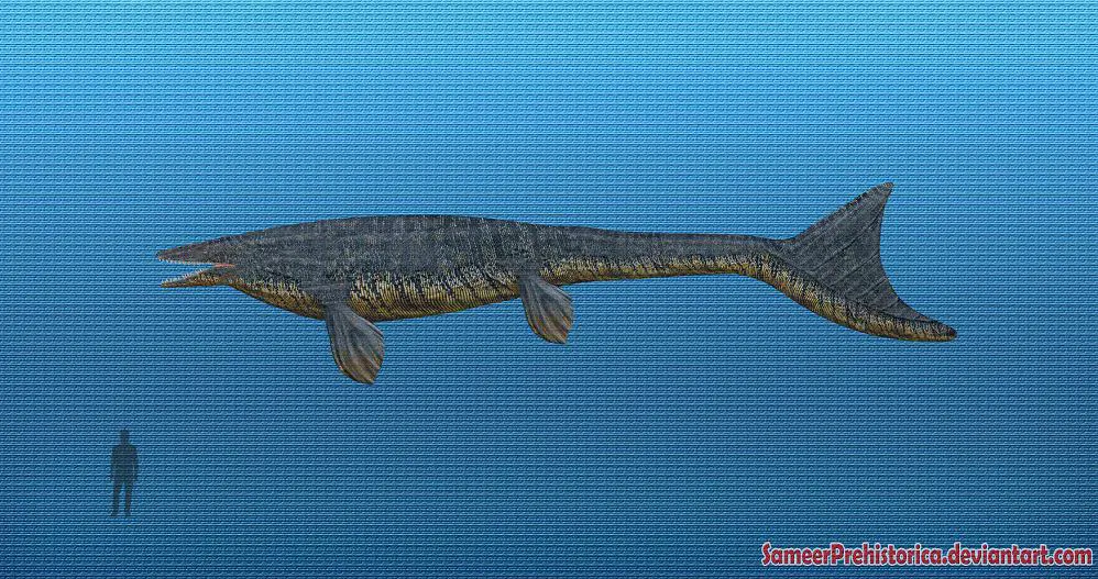 mosasaurus facts and pictures mosasaurus size