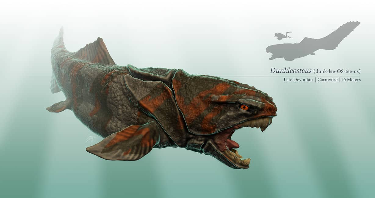 Dunkleosteus - Facts and Pictures