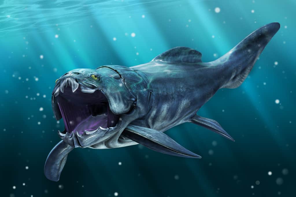 dunkleosteus facts and pictures dunkleosteus size
