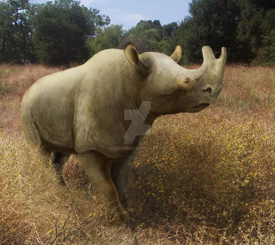 Brontotherium - Facts and Pictures