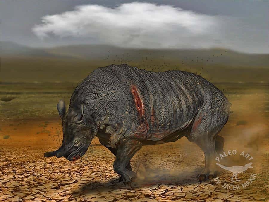 website to draw how animals Facts and  Pictures  Brontotherium