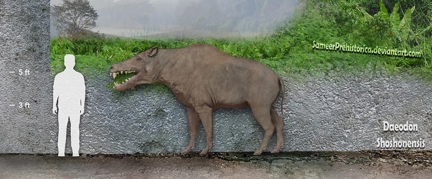 Daeodon - Facts and Pictures Daeodon - Facts and Pictures