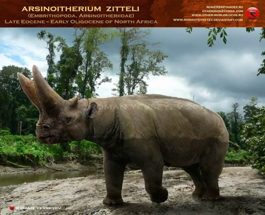Image result for Arsinoitherium