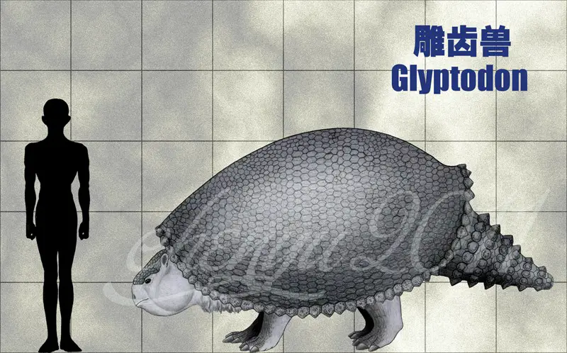 glyptodon facts and pictures glyptodon size