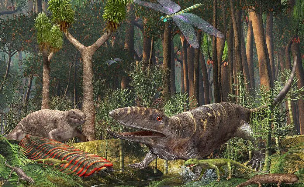 The Carboniferous Period | Dinosaurs - Pictures and Facts