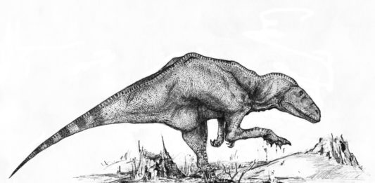 gasosaurus vajcia pochádzajúce z Jurský obdobia