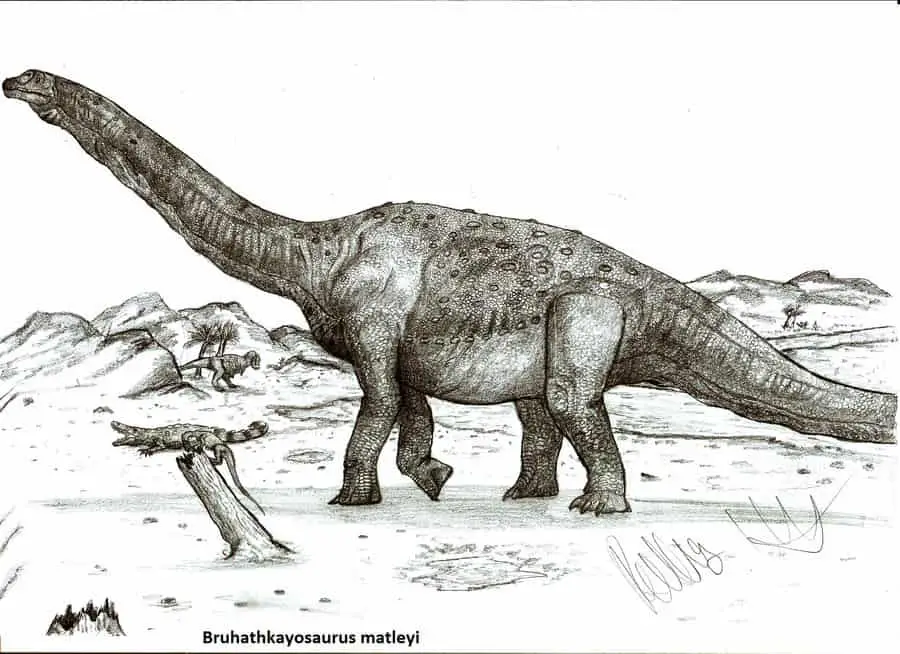 Bruhathkayosaurus