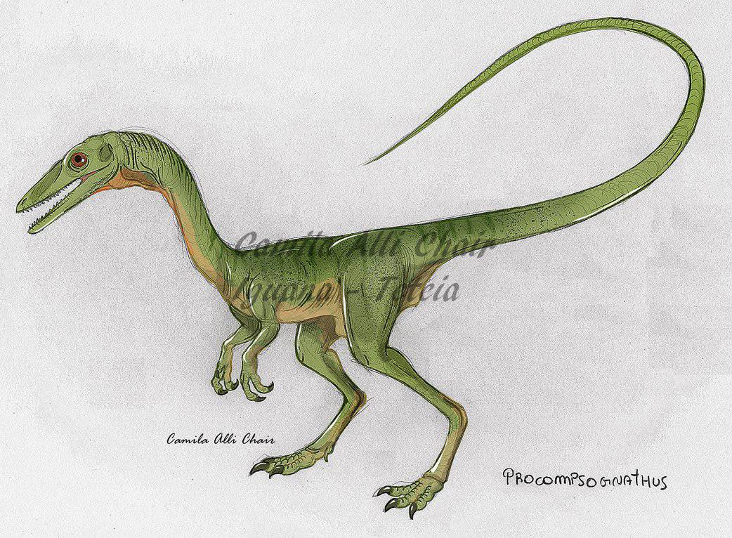 Procompsognathus by Camila Alli Chair