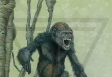 Dryopithecus Pictures and Facts