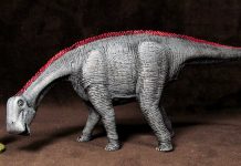 Nigersaurus Pictures and Facts